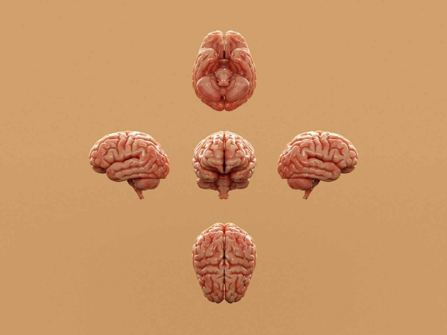 The Science Behind Better Decision Making